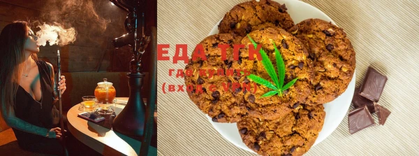 индика Медногорск