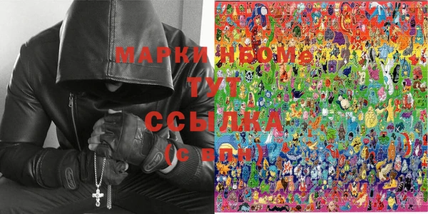 индика Медногорск